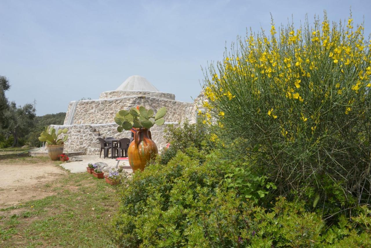 オストゥーニ Trullo Minuettoヴィラ エクステリア 写真